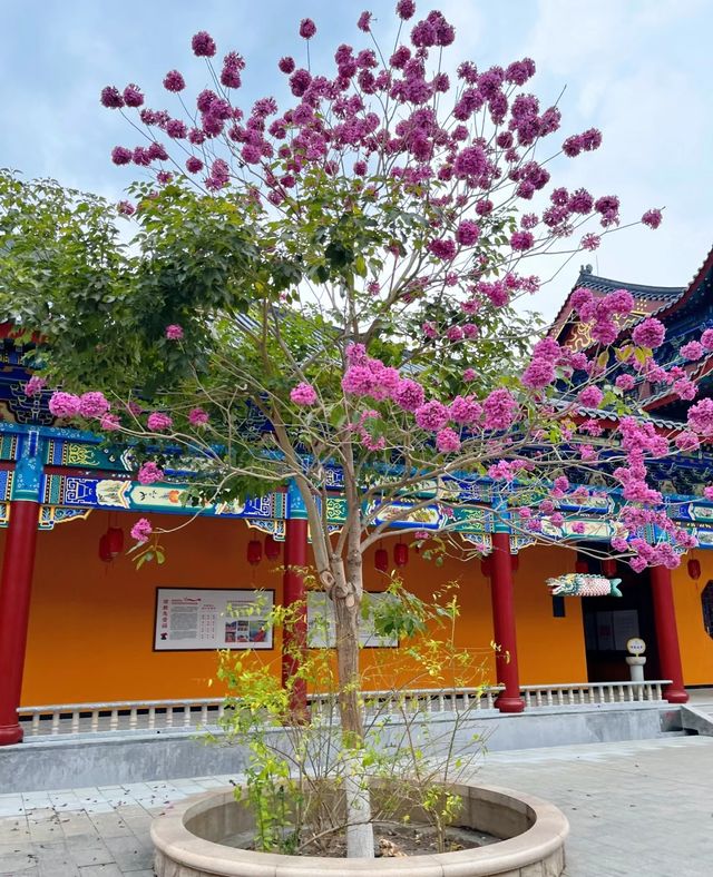 哇！東華禪寺，充滿神秘色彩的聖地