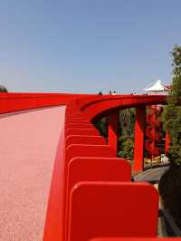 #深圳市虹橋公園之美