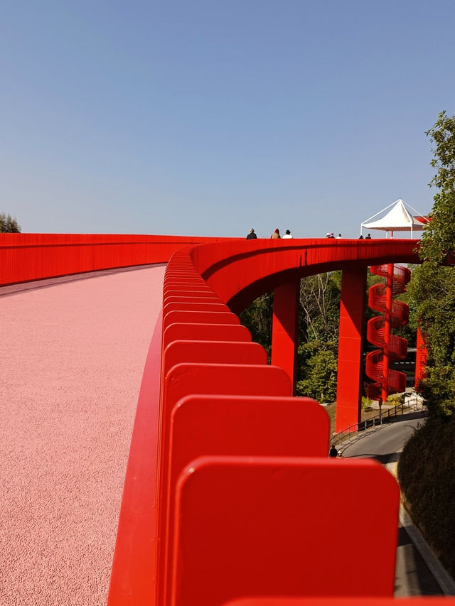 #深圳市虹橋公園之美