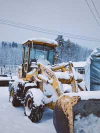 哈爾濱-瀋陽故宮-長白山|寒假暢遊 看雪國風光