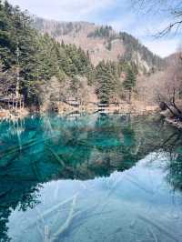 都江堰-九寨溝親子遊全攻略玩轉美景不費力