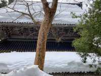 永平寺：一場穿越時光嘅禪意修行