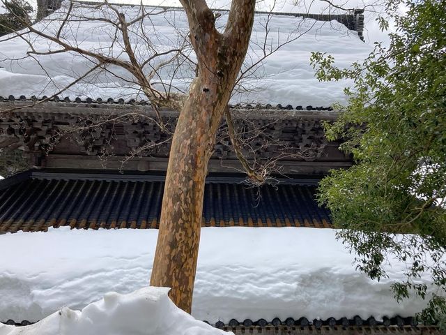 永平寺：一場穿越時光嘅禪意修行