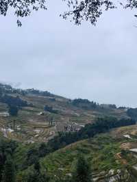 6天暢遊雲南昆明-羅平-元陽 超詳細攻略來襲