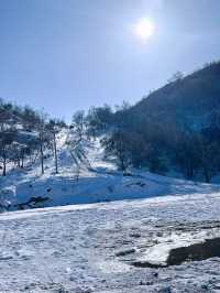 白山3日滑雪之旅 這攻略你值得擁有