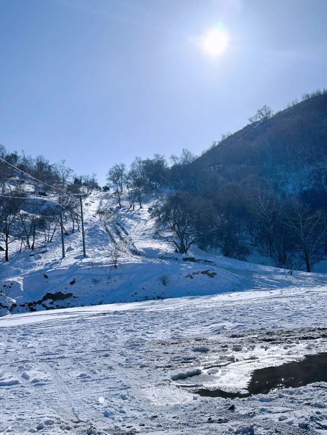白山3日滑雪之旅 這攻略你值得擁有