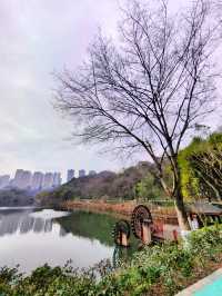 春日漫步：彩雲湖公園