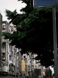 澳門旅行全指南 | 本地體驗與實用Tips