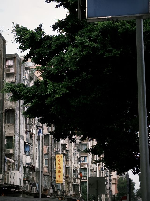 澳門旅行全指南 | 本地體驗與實用Tips