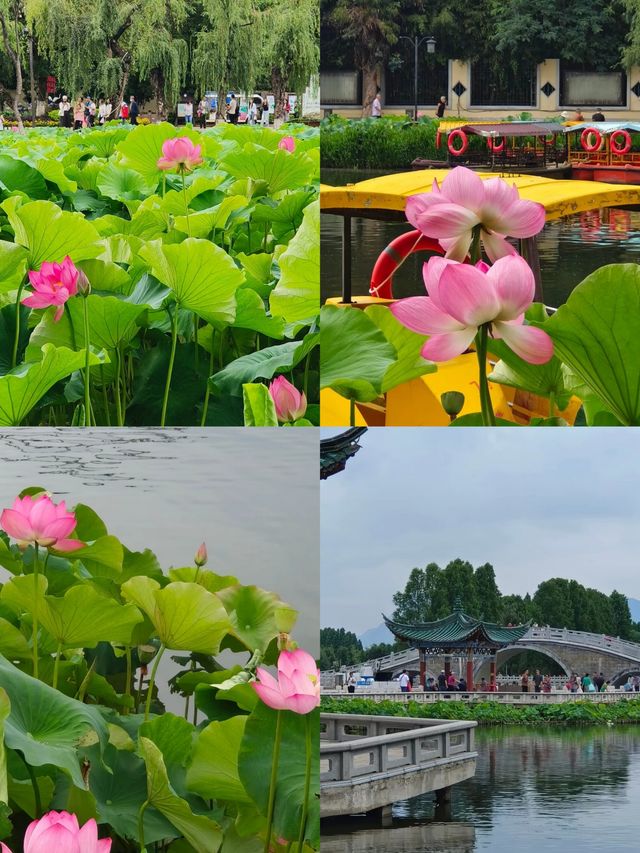 救命 我真的愛死這個地方了