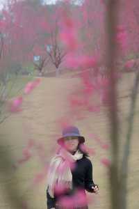 重慶 | 白公館紅梅林
