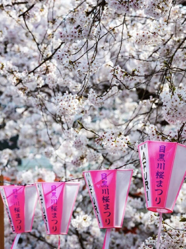 🌸東京櫻花季必去！6個打卡景點美到不行