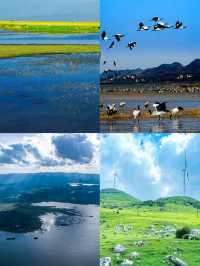 瘋狂分享麗江-涼山2日遊 回來就想再去