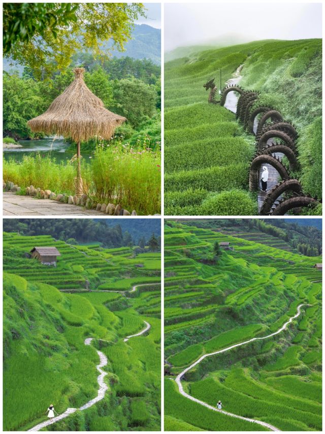 重慶龔灘+麗水|重慶龔灘+麗水|山水間的絕美之旅！