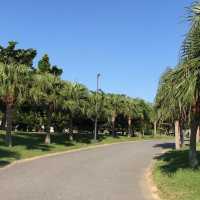 日本沖繩·宜野灣海濱公園—超適合野餐放空的濱海綠洲