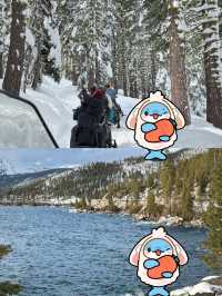live Tahoe｜暴雪超絕氛圍感 雪季可太棒啦