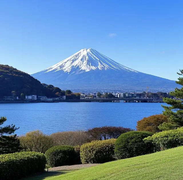 福岡探秘 | 舞鶴公園的獨特之旅
