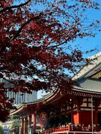 淺草寺 & 雷門｜感受東京最地道嘅傳統氛圍
