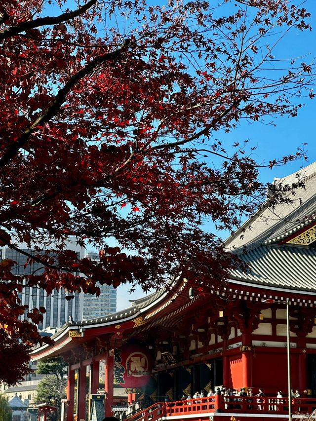 淺草寺 & 雷門｜感受東京最地道嘅傳統氛圍