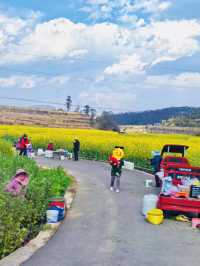 Anning Yellow flower Magic 