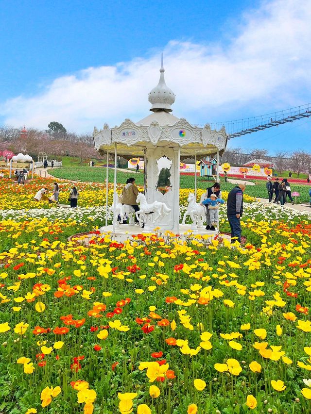 成都春日賞花天花板｜闖入漫畫裡的春天