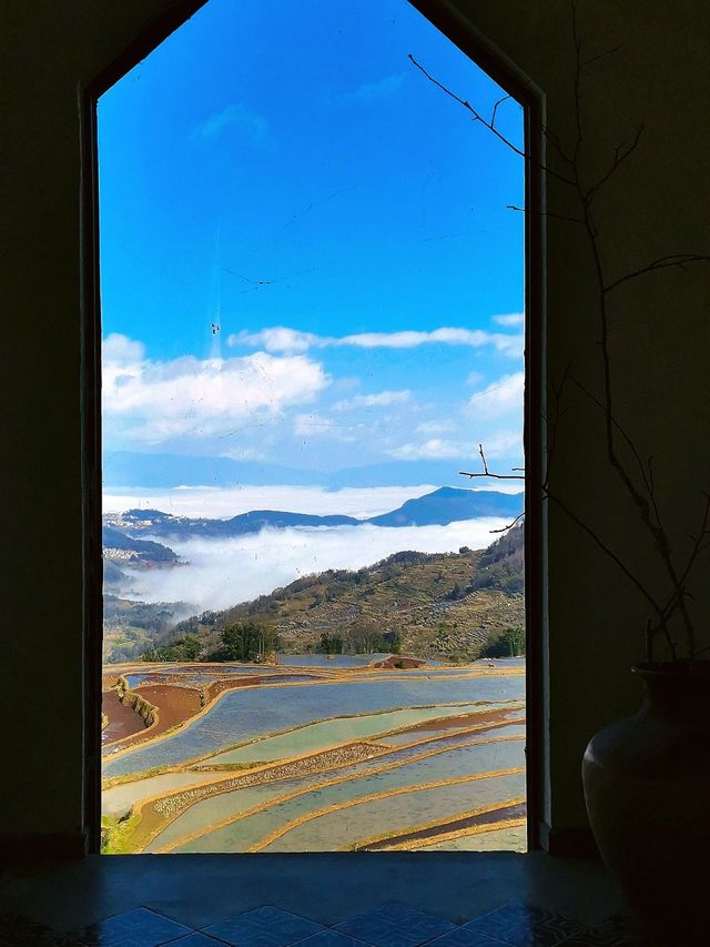 8日暢遊雲南昆明-撫仙湖-建水 小長假的不二之選