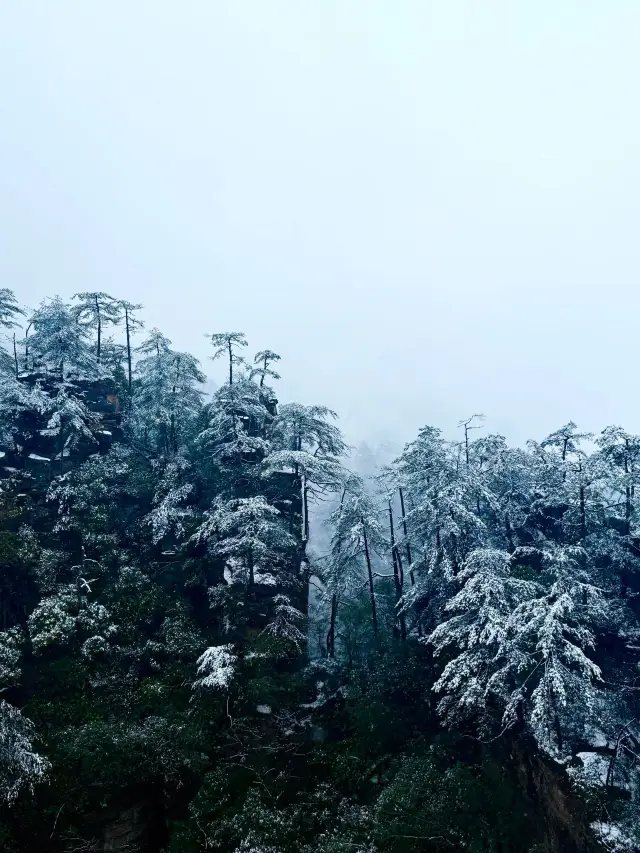 A 5-Day Trip to Zhangjiajie: A Customized Itinerary Off the Beaten Track
