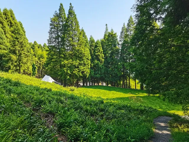 江浙滬週末放鬆！自駕暢遊莫干山