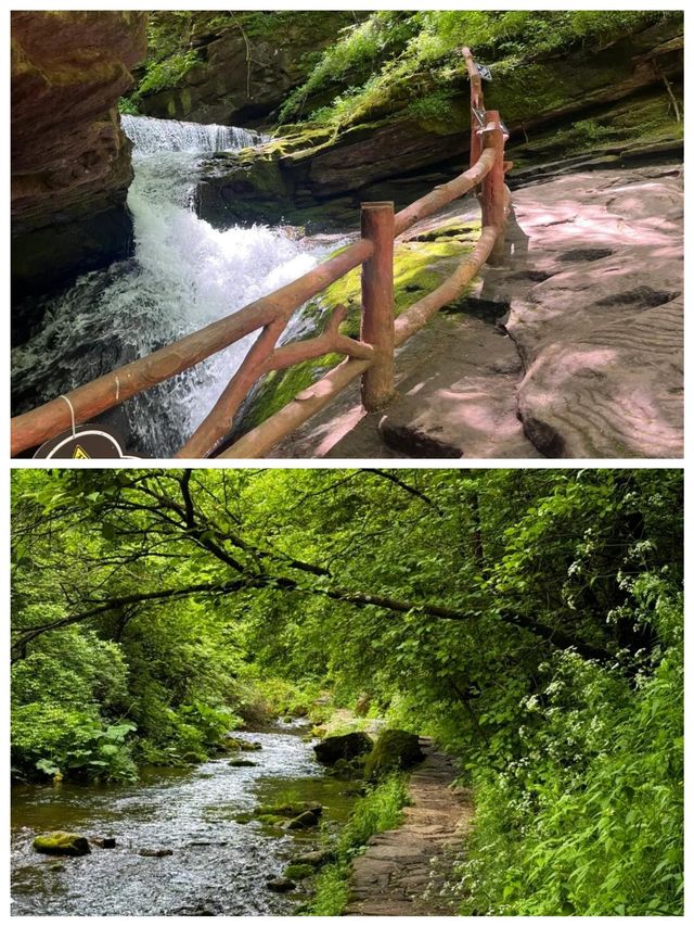 六盤山國家森林公園樹木茂盛天然氧吧呼吸清爽快來