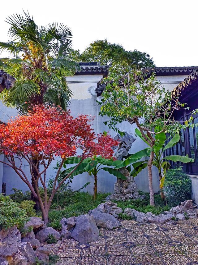 蘇州嚴家花園丨隱藏在古鎮裡的江南園林