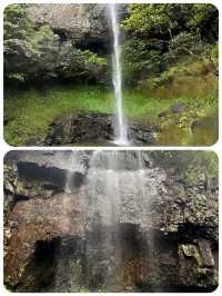 衢州藥王山千年藥香裡的仙俠養生之地來吧