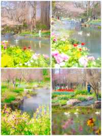 水鄉花海·五城秘境遊全攻略