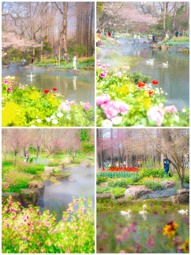 水鄉花海·五城秘境遊全攻略