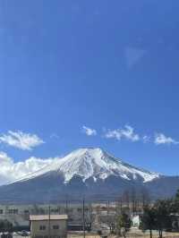 6日暢遊日本 春遊賞櫻之旅