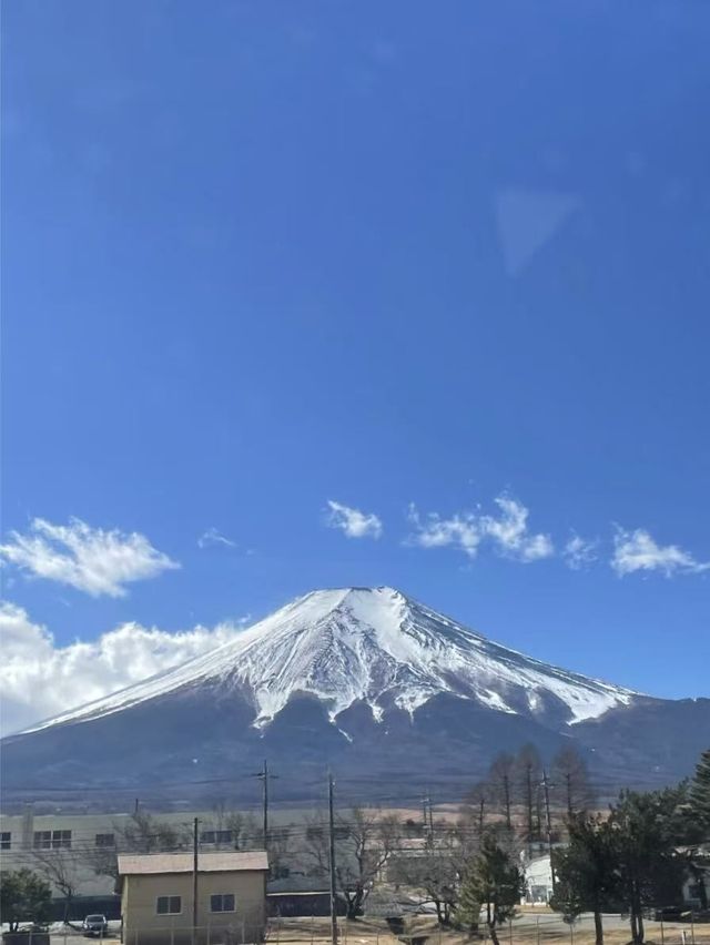 6日暢遊日本 春遊賞櫻之旅