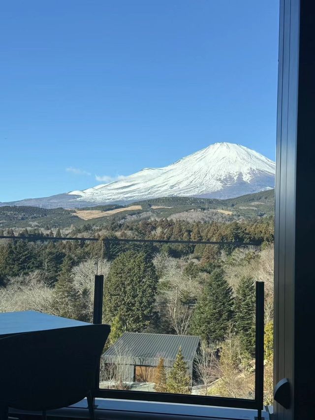 6日暢遊日本 春遊賞櫻之旅