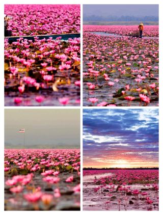 Check out Udon Thani! It's quite beautiful.