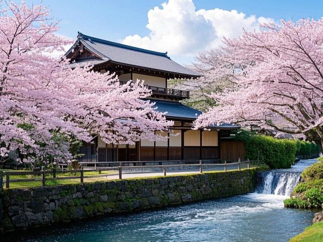日本花卷市