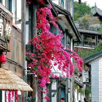 🌸春日限定！深圳甘坑古鎮花開成海啦