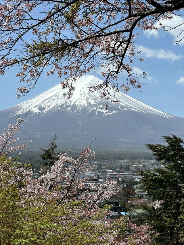 日本9日遊 小長假出行正當時