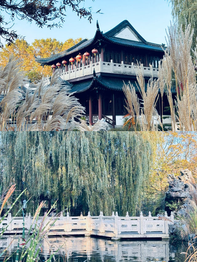 德國曼海姆周邊遊