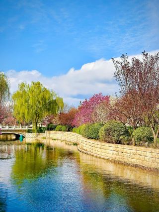 北京賞花路線分享