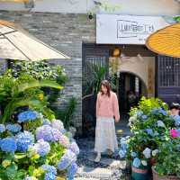 🌼深圳驚喜新店 | 甘坑古鎮的秘密花園🦋