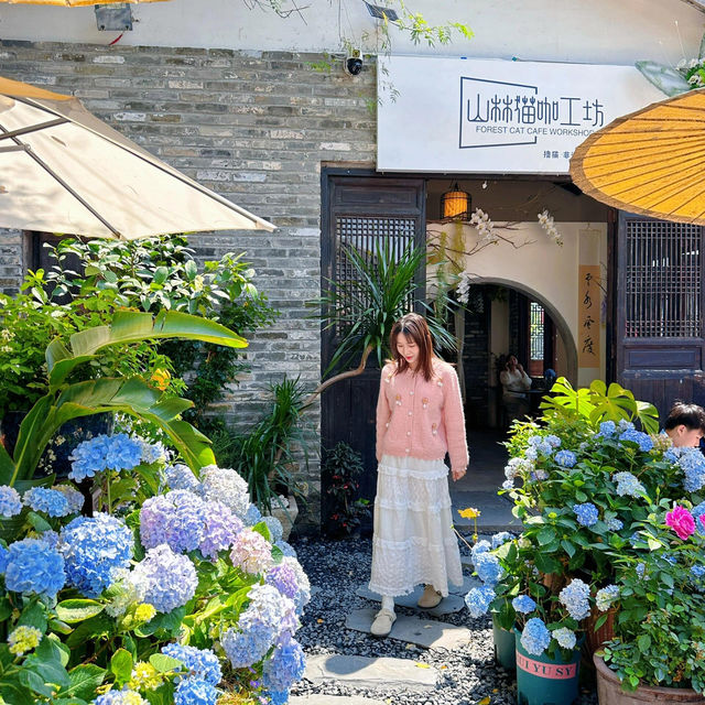 🌼深圳驚喜新店 | 甘坑古鎮的秘密花園🦋