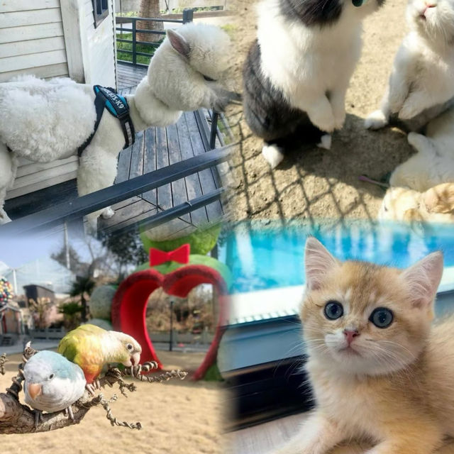 Pet Paradise + Fruit & Veggie Picking: A Must-Try Family Trip in Jiangsu, Zhejiang & Shanghai
