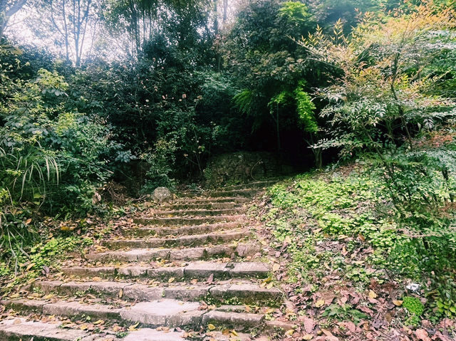 重慶市沙坪壩區著名文物保護區景點：虎風山、適合拍照打卡、週末閒暇度假地！ 