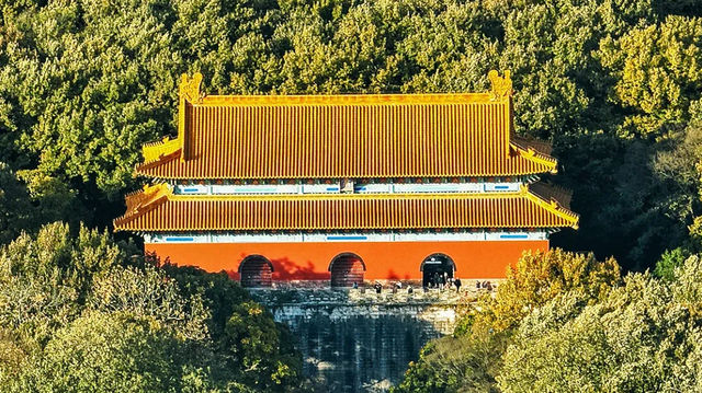 南京四月旅行攻略：邂逅梧桐飛絮裏的金陵春天