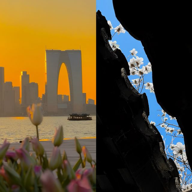 姑蘇慢行記｜3日解鎖蘇州骨子裡的風雅與煙火