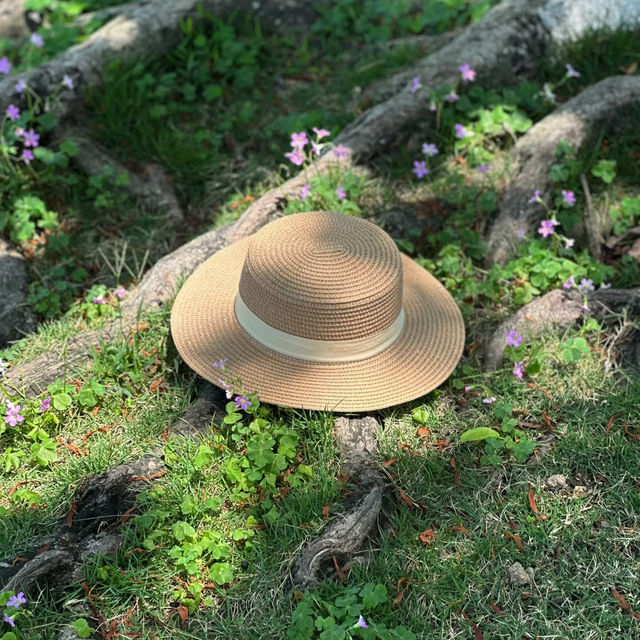 邂逅珠海日月貝，探尋小眾浪漫