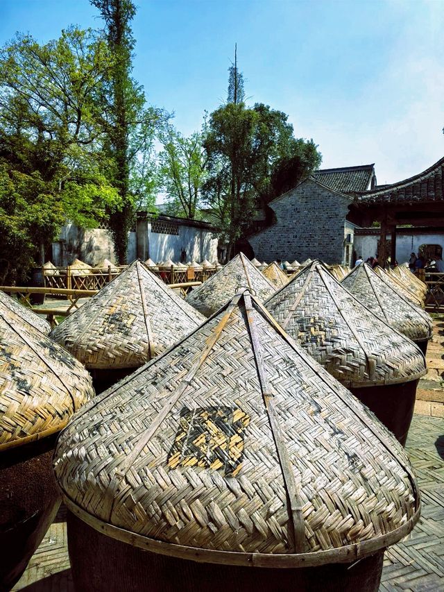 探索鹽官潮樂之城：在潮起潮落間，邂逅歷史與音樂的交融
